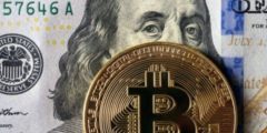 تطبيق bee الجديد 2021 سارع بالتعدين واكسب النقاط، كن أول المسجلين
